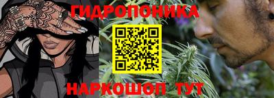 тгк Волгодонск