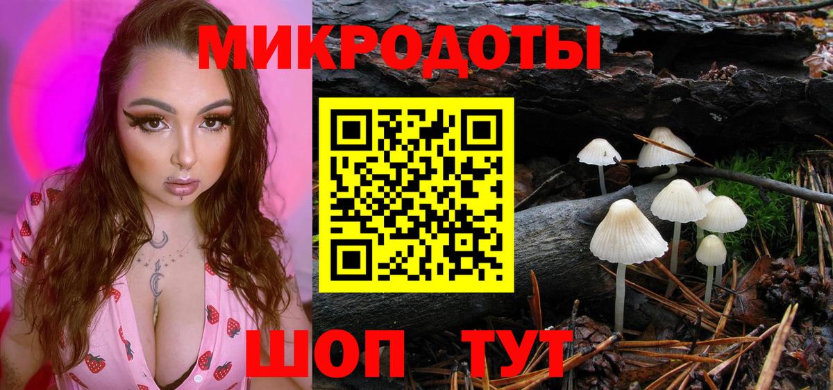 Псилоцибиновые грибы мицелий Канаш