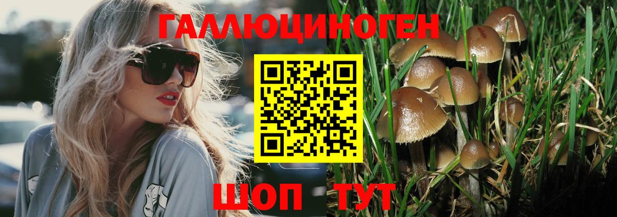 Псилоцибиновые грибы мухоморы  Вход с VPN  Канаш 